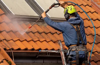 Démoussage et hydrofuge de toiture à Vellemoz